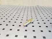 Bremspedalsensor Varlytė AUDI 80 Avant (8C, B4) 2.0 443945515