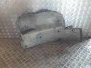 Verkleidung Innenkotflügel links hinten Opel Movano B Kasten (X62) 638230008R