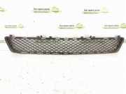 Kühlergrill unten Mercedes-Benz E-Klasse (W212) DALISID1601