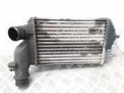 Ladeluftkühler CITROËN JUMPER Furgon (230L) 2.8 HDi 1640069