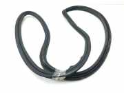 Dichtung für Koffer-/Laderaumklappe Maserati Quattroporte V ()