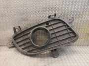 Gitter Grill vorne rechts MERCEDES-BENZ A (W169) A 180 CDI (169.007, 169.307) A1698850622 1698850622