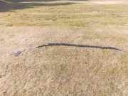 Airbag Dach rechts Mercedes-Benz GL-Klasse (X164) 30361420F