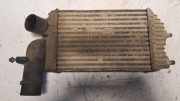 Ladeluftkühler PEUGEOT BOXER Furgon (230L) 2.5 D 1307012080