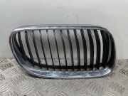 Vorderer oberer Gitter BMW 3 Coupe (E92) 320 d 7254968