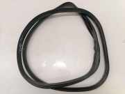 Türdichtung Jaguar F-Pace (X761)