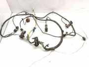 Kabelbaum Hinteren Parksensoren CITROËN C4 II (B7) 2.0 HDi / BlueHDi 150 687940