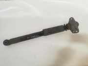 Stoßdämpfer hinten links VW PASSAT Variant B7 (365) 1.6 TDI