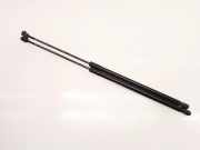 Heckklappe Gasdruckfeder links RENAULT MEGANE III Coupe (DZ0/1_) 1.5 dCi (DZ09, DZ0D, DZ1F, DZ1G) 904510002R