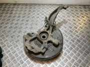 Radnaben vorne links LAND ROVER DISCOVERY V (L462) 3.0 D 4x4 AH223K186AC