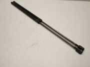 Heckklappe Gasdruckfeder rechts MERCEDES-BENZ M (W163) ML 55 AMG (163.174) A1637400345