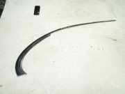 Türverkleidung rechts hinten Jaguar S-Type (X200)