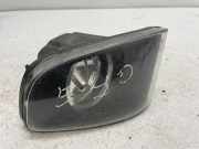 Nebelscheinwerfer rechts vorne BMW 3er Touring (E91) 6937465