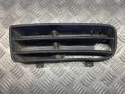 Kühlergrill unten VW Golf IV (1J) 242510