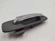 Türaußengriff links NISSAN X-TRAIL (T31) 2.0 dCi