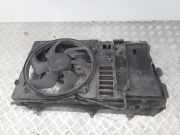 Elektrolüfter Peugeot 406 Coupe (8C) 9631723080