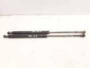 Heckklappe Gasdruckfeder links TOYOTA AVENSIS (_T22_) 2.0 TD (CT220_) 6896005050