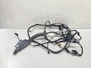 Türverkabelung hinten links BMW X6 (E71, E72) M 9203309