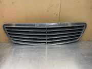 Vorderer oberer Gitter MERCEDES-BENZ S (W220) S 320 CDI (220.025, 220.125) 2208800383