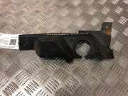 Zierleiste Nissan Pathfinder III (R51) F97225A07