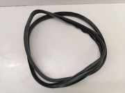 Türdichtung Jaguar F-Pace (X761)