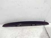 Kennzeichenbeleuchtung Verkleidung