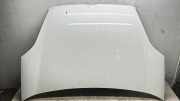 Motorhaube Fiat Doblo Van (263)