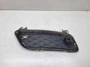 Gitter vorne unten BMW X3 (F25) xDrive 30 d 7249595