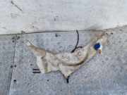 Fensterwaschtank FORD FOCUS II (DA_, HCP) 1.8 TDCi 4M5113K163AG