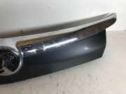 Kennzeichenbeleuchtung OPEL INSIGNIA A Estate (G09) 2.0 CDTI (35)