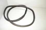Türdichtungsgummi hinten links BMW X6 (F16, F86) M 50 d 7317812 51727317812
