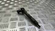 Einspritzdüse BMW X5 (E70) M 50 d 7805428