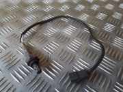 Sauerstoffsensor (Lambdasensor)