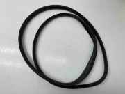 Türgummi links vorne Renault Megane III Schrägheck (BZ)