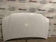 Motorhaube VW CADDY III Furgon (2KA, 2KH, 2CA, 2CH) 2.0 SDI