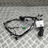 Türverkabelung hinten rechts VW TIGUAN (AD1) 2.0 TDI 5NA971694CA