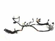 Kabel der vorderen linken Tür AUDI A7 Sportback (4GA, 4GF) 3.0 TDI quattro 4G8971030CG ZAB010403BD