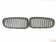 Vorderer oberer Gitter BMW 5 (F10) 535 d 7261356 7203650