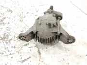 Differenzialgetriebe hinten