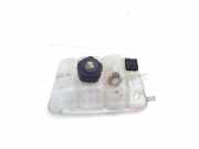 Ausgleichsbehälter RENAULT MEGANE IV Grandtour (K9A/M_) 1.5 dCi 110 217104048R