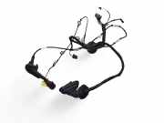 Kabel der vorderen linken Tür AUDI A6 Avant (4F5, C6) 2.7 TDI 4F1971029CK