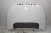Motorhaube Land Rover Discovery Sport (L550) FUJIWHITE