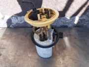 Kraftstoffpumpe VW Passat B7 (362) 3AA919050B