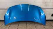 Motorhaube Citroen C3 (FC)