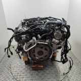 Motor ohne Anbauteile (Benzin) Porsche Cayenne 2 (92A) CUR