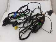 Kabelbaum AUDI A6 (4F2, C6) 2.7 TDI 4f1 971 035 k 4f1971029ad