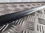 Zierleiste Windschutzscheibe Frontscheibe