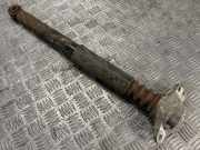 Stoßdämpfer rechts hinten VW Golf V Variant (1KM)