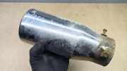 Auspuffdüse MERCEDES-BENZ R (W251, V251) R 320 CDI 4-matic (251.022, 251.122)