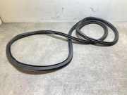 Dichtungsgummi der hinteren Tür (an der Karosserie) BMW X5 (G05) xDrive 30 d Mild-Hybrid 7428696